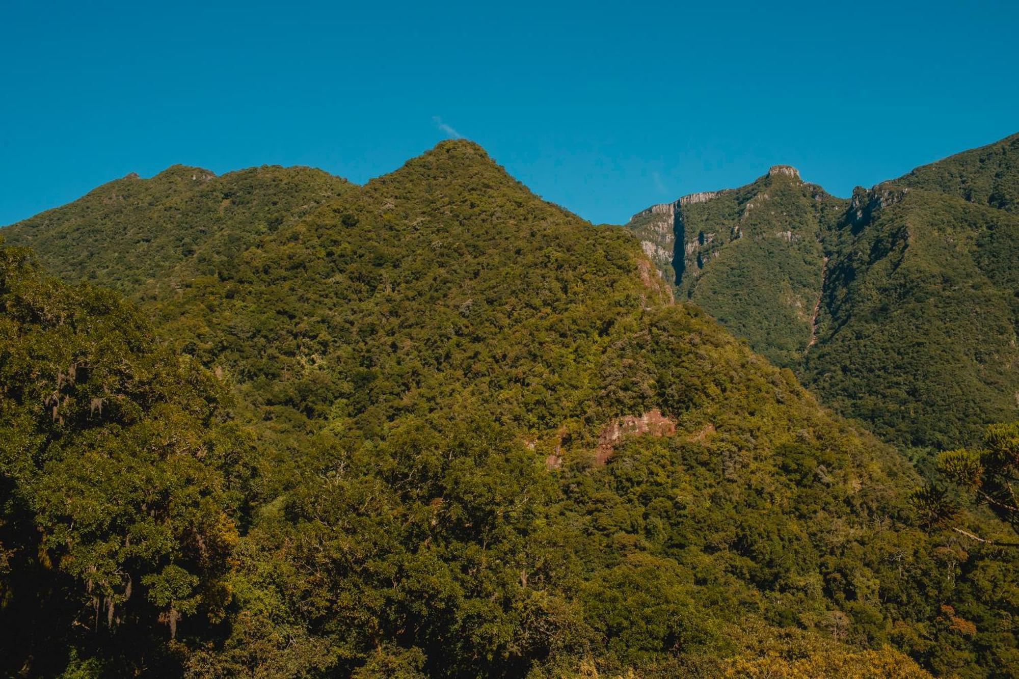 Pousada Bugio Da Serra Novo Horizonte  Buitenkant foto